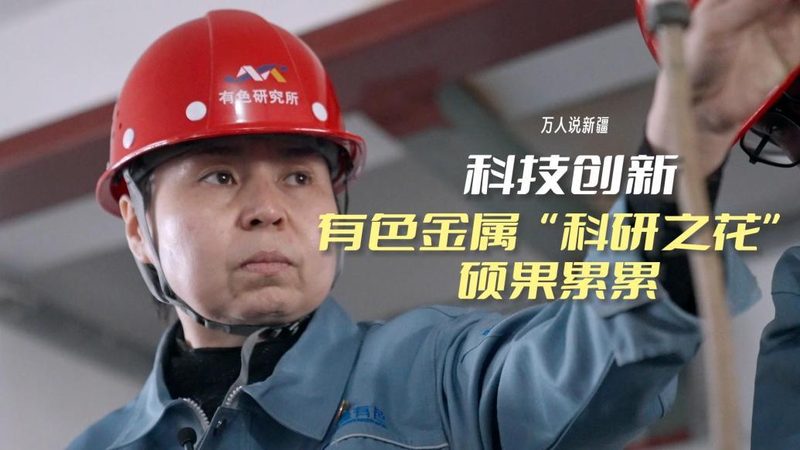 企业搜索性能优化：揭秘提升效率的关键**